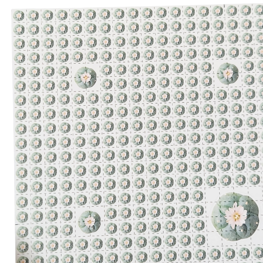 American Blotter | Peyote
