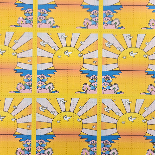 American Blotter | California Sunshine 10x10