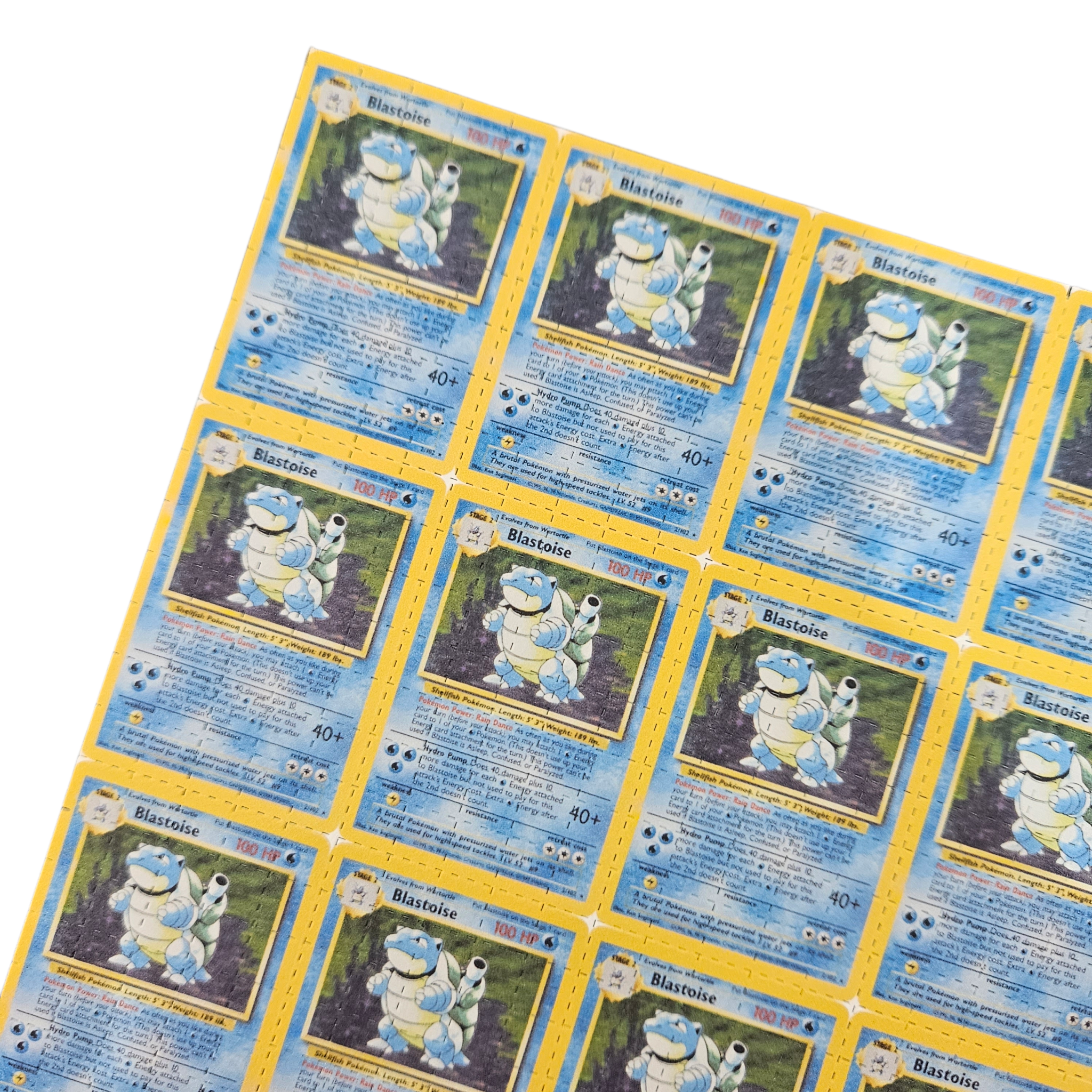 American Blotter | Pokemon Blastoise